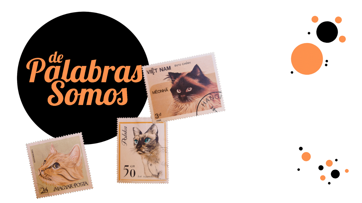 En este momento estás viendo ¿Por qué De palabras Somos?